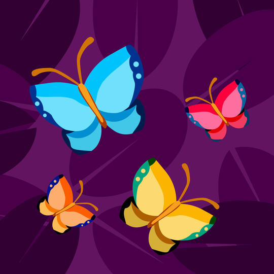 Butterfly Butterfly