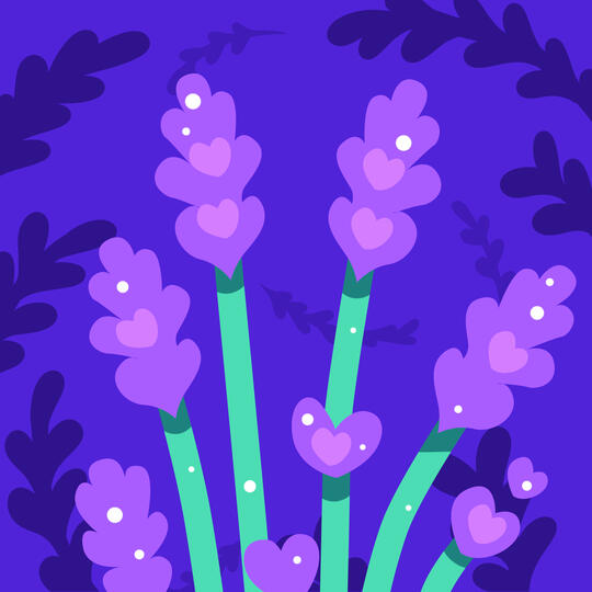 Lavender Lavender