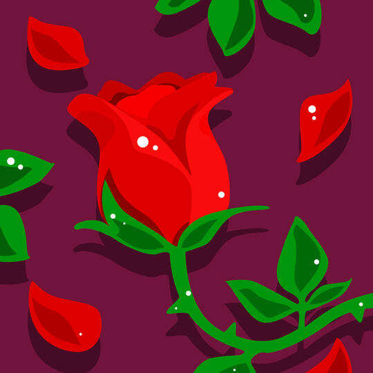 Rose Rose