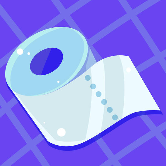 Toilet Paper Toilet Paper